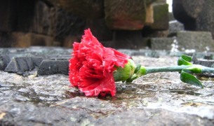 zobacz trasę Auschwitz Birkenau Trasa Auschwitz Birkenau